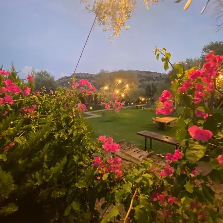 Appart hôtel Suzi'nin Bahçesi Evler