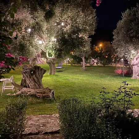 Suzi'nin Bahçesi Evler * Datça