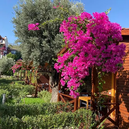 Appart hôtel Suzi'nin Bahçesi Evler Datça