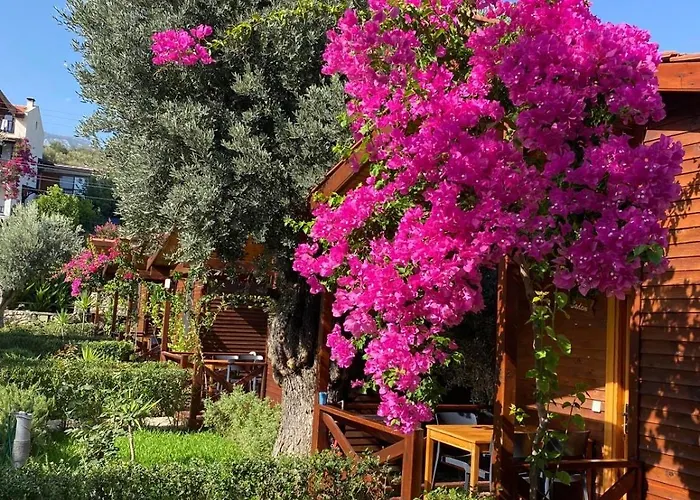 Appart hôtel Suzi'nin Bahçesi Evler Datça