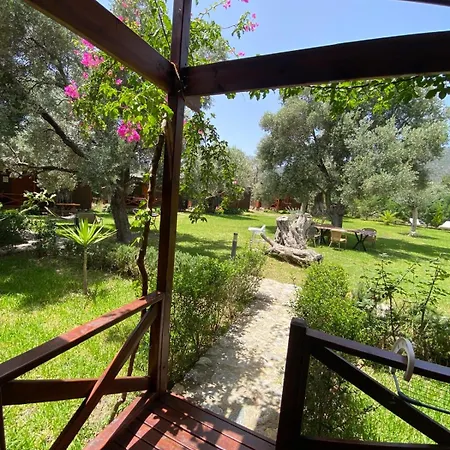 Suzi'nin Bahcesi Evler * Datca