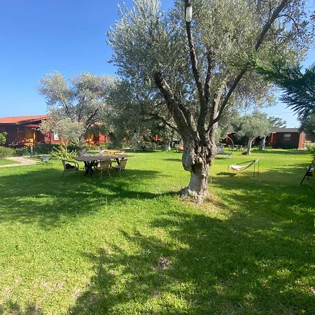 Suzi'nin Bahcesi Evler Datca